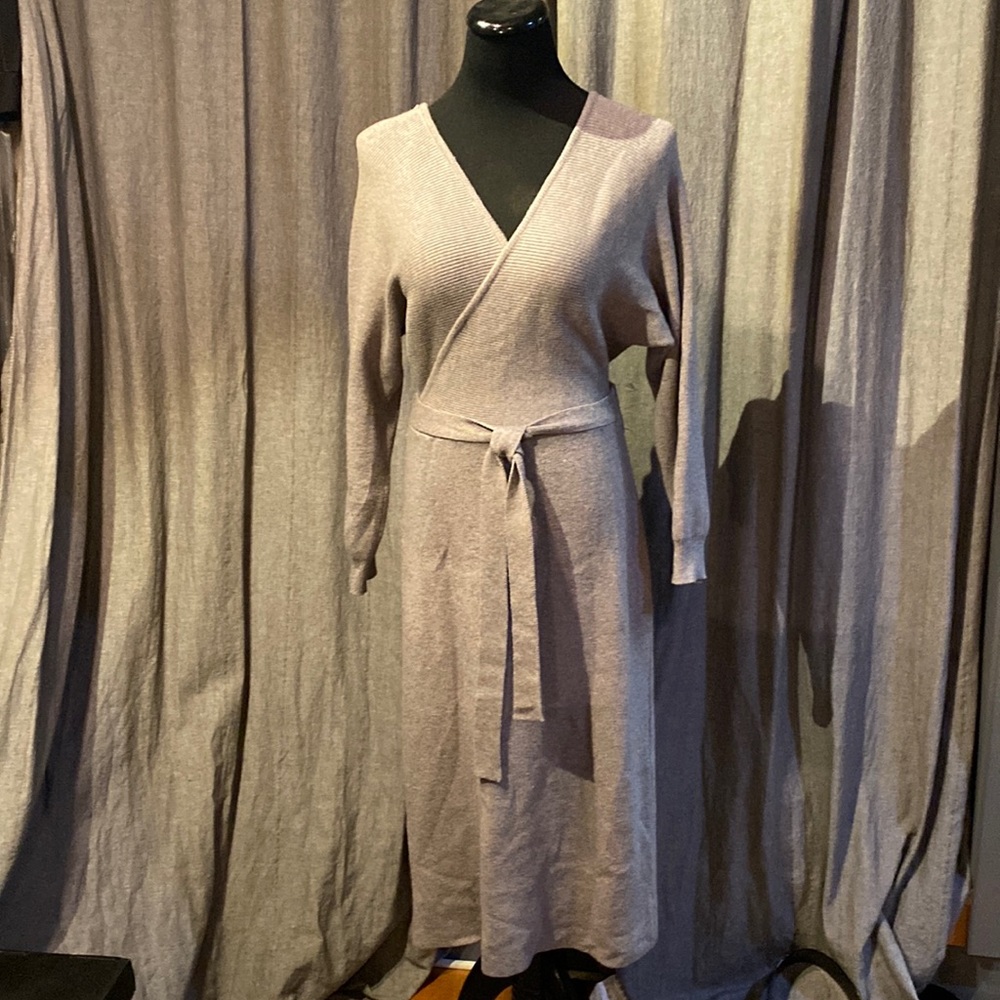 Lone Sleeve Knit Sweater Dress